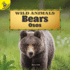 Bears / Osos