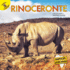 Rhinoceros: Rinoceronte? Rourke Spanish Reader, Grades Pk? 2 (Animales Africanos (African Animals)) (Spanish Edition)