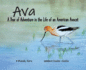 Ava: a Year of Adventure in the Life of an American Avocet
