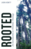 Rooted: An Introduction to Christian Theology