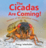 The Cicadas Are Coming! : Invasion of the Periodical Cicadas