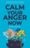 Calm Your Anger Now: Stop Your Rage, Ease Anxiety, Lower Stress, and Learn to Control Your Emotions in Everyday Life