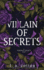 Villain of Secrets: A Verona Legacy Story