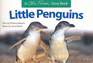 Little Penguins