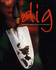 Dig: Inspirational Gardening for a New Generation