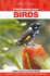 Australian Birds