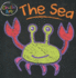 Sea (Chalk Art)