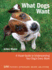 What Dogs Want: a Visual Guide to Understanding Your Dog's Every Move