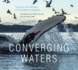 Converging Waters: the Beauty and Challenges of