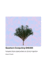 Quantum Computing Sha256: Complete Oracle Implementation for Grover's Algorithm