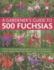 A Gardeners Guide to 500 Fuchsias: Varieties for Growing in Hanging Baskets and Pots, Hardy Fuschias, Species, Unusual Cultivars and Encliandras, With Over 270 Photographs