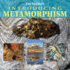 Introducing Metamorphism (Introducing Earth and Environmental Sciences)