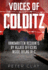 Voices of Colditz: Handwritten Accounts By Allied Officers Inside Oflag IV-C