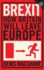 Brexit: How Britain Left Europe