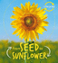 Lifecycles: Seed to Sunflower: 1-Cover May Vary