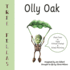 Tree Fellas: Olly Oak