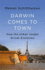 Darwin Comes to Town