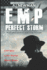 Emp Perfect Storm: Book 1-Post Apocalyptic Survival Fiction