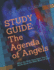 Study Guide: the Agenda of Angels: What the Holy Ones Want You to Know About the Next Move of God (Warriornotes School of the Spirit)