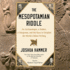 The Mesopotamian Riddle: an Archaeologist, a Soldier, a Clergyman and the Race to Decipher the World's Oldest Writing
