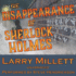 The Disappearance of Sherlock Holmes (the Sherlock Holmes in Minnesota Series) (the Minnesota Mysteries, 5)