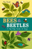 Bees & Beetles: a Flip-Flap Book of Bugs (Flip-Flap Books)