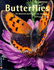 Butterflies: the New Compact Study Guide and Identifier (Identifying Guide Series)