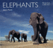 Elephants (Worldlife Library)