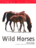 Wild Horses (Nature Fact File)