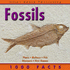 Fossils (1000 Facts on...)