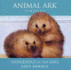 Animal Ark: Hedgehogs in the Hall: Animal Ark Classics