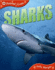 Animal Lives: Sharks (Qed Animal Lives)