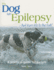 My Dog Has Epilepsy...But Lives Life to the Full! : a Practical Guide for Owners