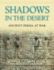Shadows in the Desert: Ancient Persia at War