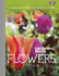 Gardeners' World: Flowers: Planning and Planting for Continuous Colour