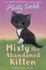 Misty the Abandoned Kitten (Holly Webb Animal Stories)