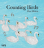 Counting Birds: 1