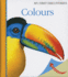 Colours (My First Discoveries)