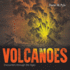 Volcanoes-Encounters Through the Ages