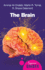 The Brain