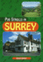 Pub Strolls in Surrey (Pub Strolls S. )