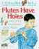 I Wonder Why Flutes Have Holes: and Other Questions About Music