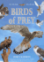 Birds of Prey (Nature Watch)