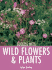 Success With Wild Flowers & Plants (Success With Gardening)