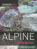 Success With Alpine Gardening