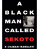 A Black Man Called Sekoto