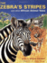 The Zebra's Stripes: and Other African Animal Tales