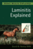 Laminitis Explained (Horse Health Explained)