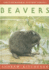 Beavers: No 28 (British Natural History Series)