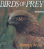 Birds of Prey: Hunters of the Sky